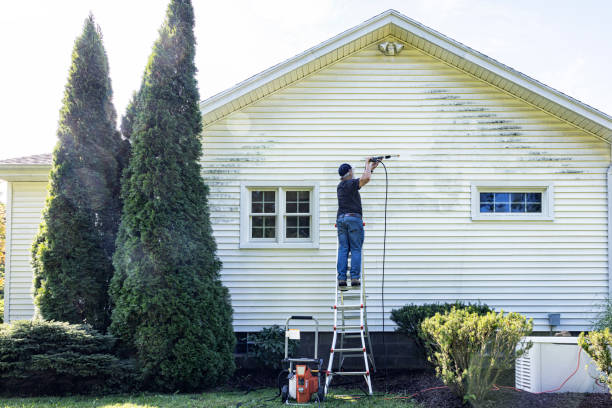 Best Affordable Power Washing  in De Soto, IL