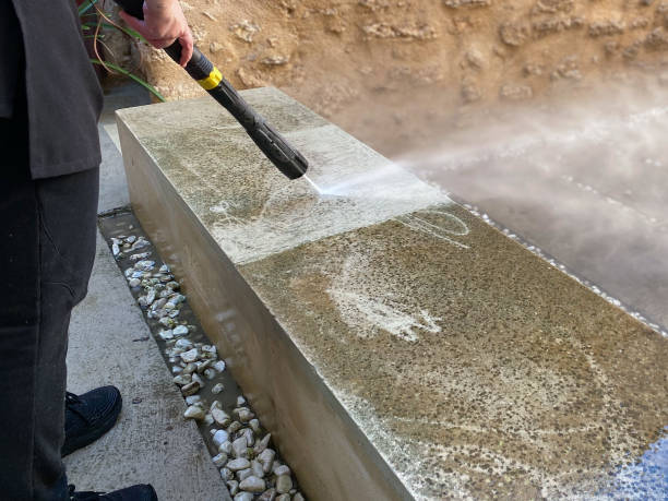 Best Best Pressure Washing Companies  in De Soto, IL