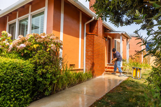 Best Pressure Washing Siding  in De Soto, IL