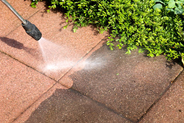 Best Best Pressure Washing Companies  in De Soto, IL